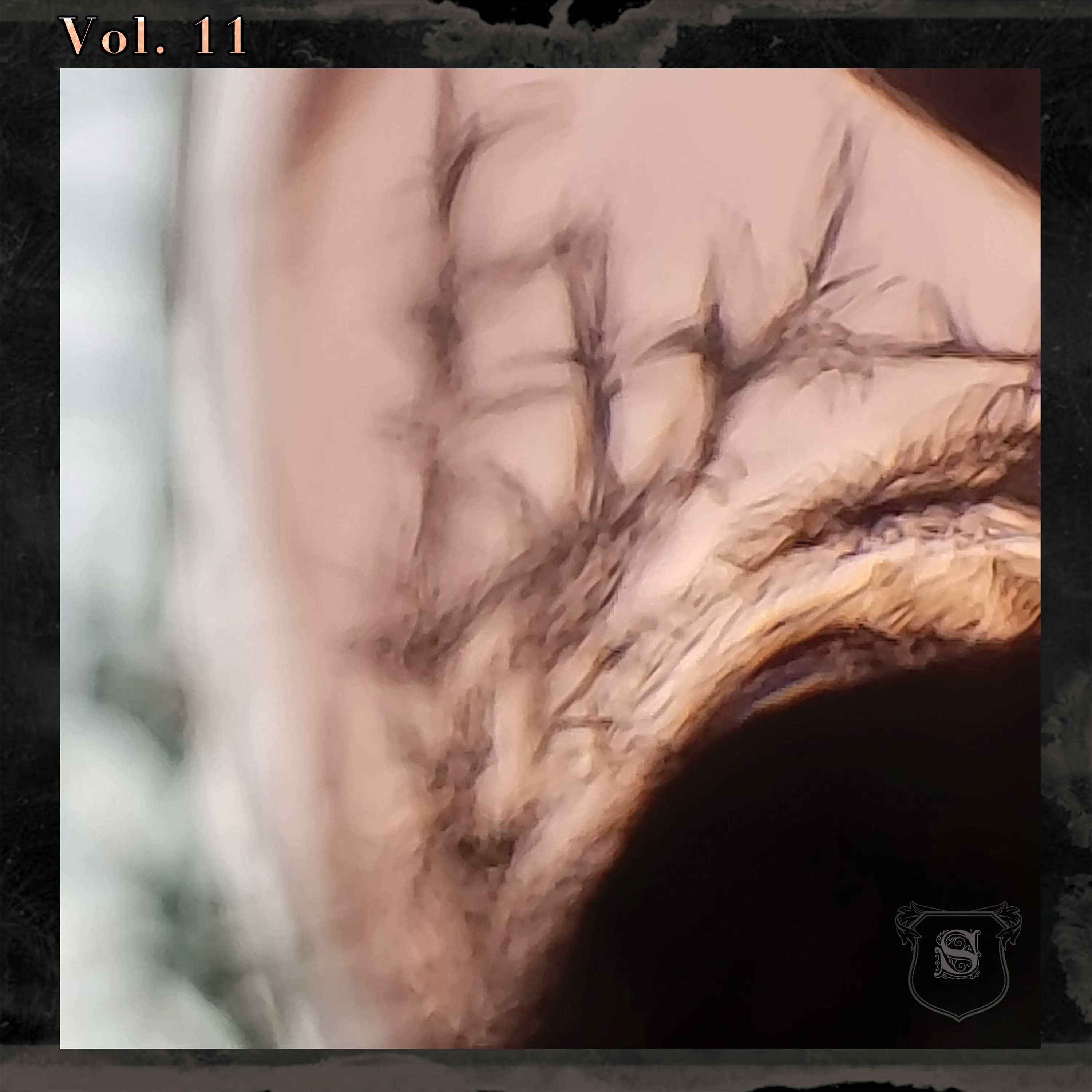 Volume XI - China Ambient Compilation